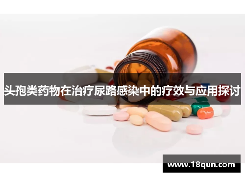 头孢类药物在治疗尿路感染中的疗效与应用探讨