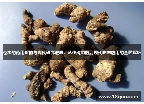 苍术的药用价值与现代研究进展：从传统中医到现代临床应用的全面解析